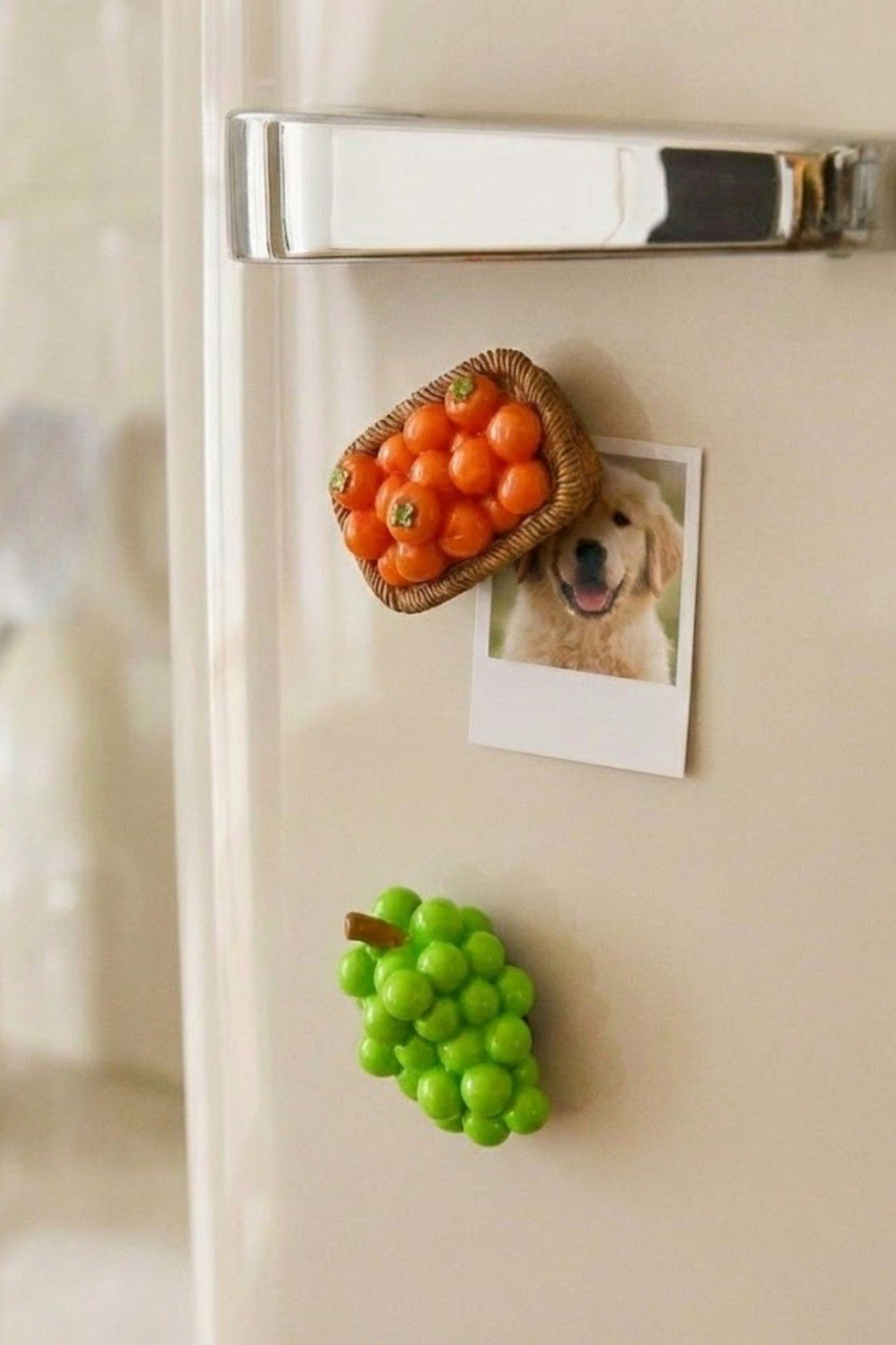 2'li El Yapımı Mini Buzdolabı Magnet Seti & Fotoğraf Ve Not Tutucu Üzüm ve Hurma